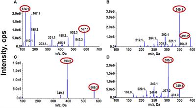 Shengjiang Xiexin Decoction Alters Pharmacokinetics of Irinotecan by Regulating Metabolic Enzymes and Transporters: A Multi-Target Therapy for Alleviating the Gastrointestinal Toxicity